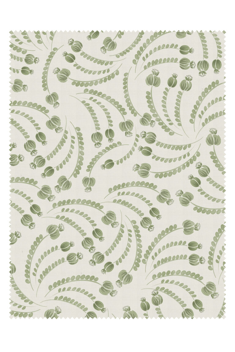 ELSIE LICHEN