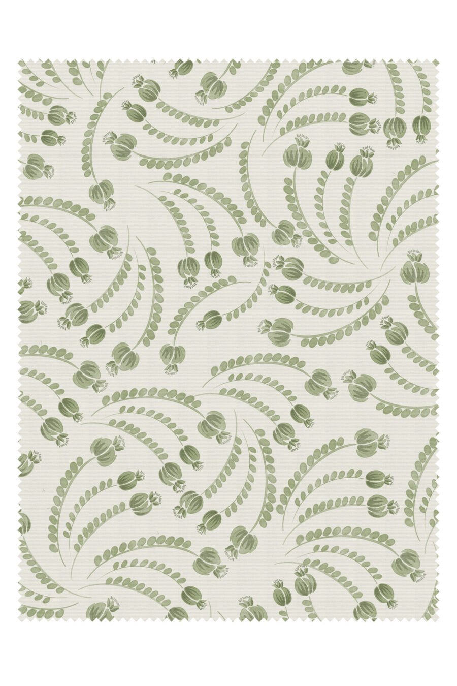 ELSIE LICHEN