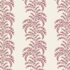 EDIE red ws