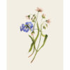 OLIVE ARTPRINT