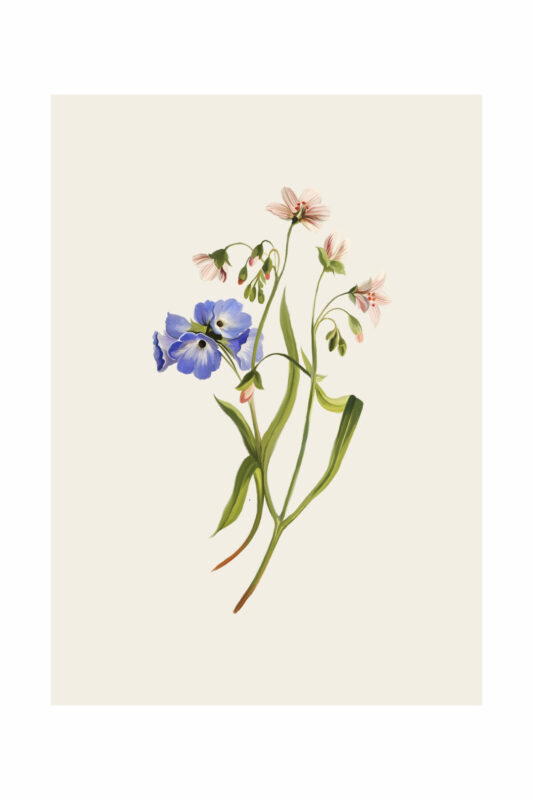 OLIVE ARTPRINT