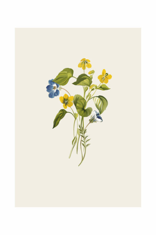 OLIVE ARTPRINT