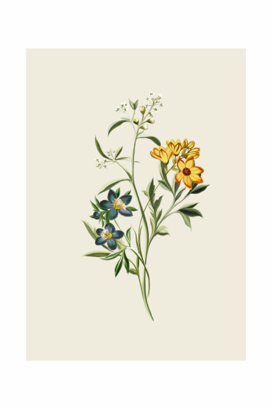 OLIVE ARTPRINT