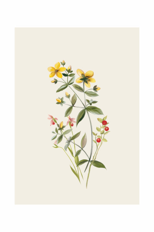OLIVE ARTPRINT