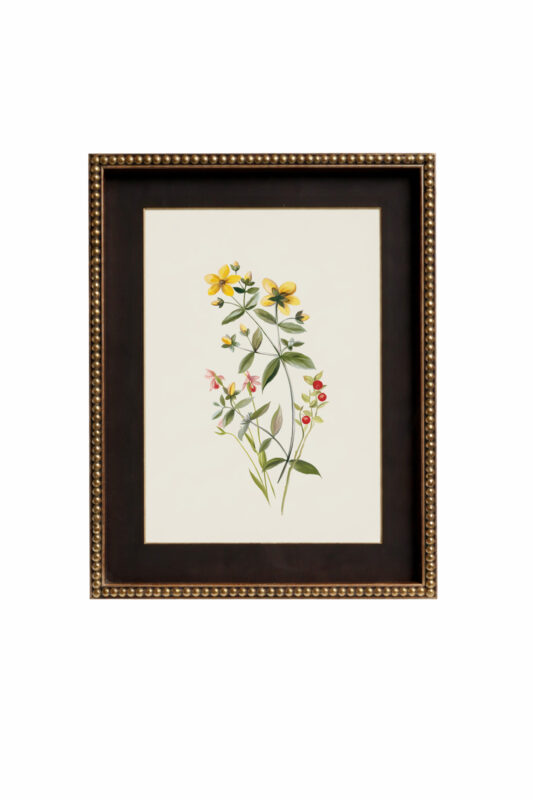 OLIVE ARTPRINT mockup