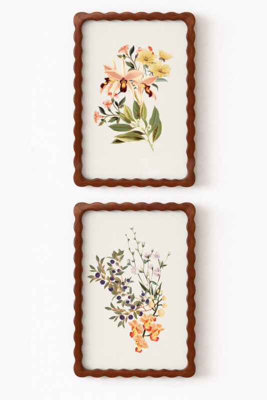 iris print mockup setof